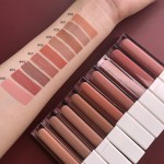 Liquid Lipstick Manufacturer - Vegan Matte Nude Customised Waterproof Lipstick