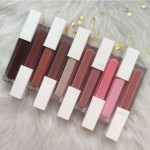 Lip Gloss Manufacturer - Custom logo Shimmer Organic Glossy Clear Lip Gloss