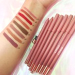 Lip Kit Manufacturer - Wholesale Private Label Vegan Matte Shimmer Lip Kit