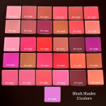 Blush Palette Manufacturer - Talc Free Custom Logo Vegan Blush Palette