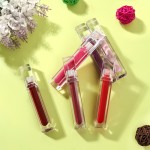 Lip Gloss Stain Manufacturer - Non Sticky Moisturizing High Shine Lip Gloss