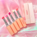 Tinted Lip Balm Factory - Wholesale Free Samples Moisturizing Fruit Lip Balm