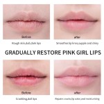 Lip Care Balm Factory - Cute Macaron Custom logo Unique Fruit Flavor Lip Balm