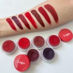 Velvet Matte Lipstick Factory - New Arrival 2 in 1 Mousse Velvet Lipstick