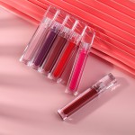 Lip Gloss Supplier - New Arrival No Moq Print Logo Best Quality Lip Gloss