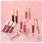 Lip Gloss Tube Supplier - Bulk Lip Plumper Gloss Creamy Matte Shiny