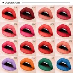 Lip Gloss Supplier - Lasting Waterproof Matte Pastel Liquid Cream Smooth