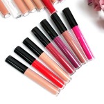 Lip Gloss Tube Manufacturer - Vegan Cruelty Free Nude Lipgloss Flavouring