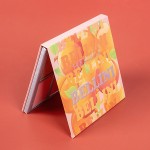 Bronzer Highlighter Supplier - Wholesale Private Label Vegan Blusher Cosmetic