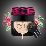 Air Cushion Tube Supplier - Cosmetic Packaging Bb Cream Matte Foundation