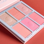 Bronzer Highlighter Supplier - Wholesale Private Label Vegan Blusher Cosmetic