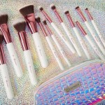 Makeup Brush Set Factory - 10pcs Blending Brushes High Quality Supplies