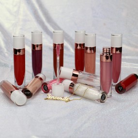 Lip Gloss Manufacturer - Custom Logo Juicy Shimmer Lip Gloss Business