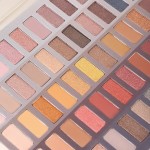 Eyeshadow Supplier - 60 Colors Highly Pigmented Matte Shimmer Neutral