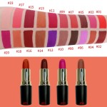 Lipstick Manufacturer - OEM Custom Made Deep Red Matte Lipstick Lasting