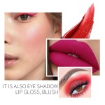 Eyeshadow Supplier - 5 Colors Polarized Shiny Bicolor Pearlescent Matte