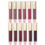 Lip Gloss Tube Supplier - Bulk Lip Plumper Gloss Creamy Matte Shiny