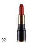 Lipstick Stick Manufacturer - Custom Matte Velvet Long Lasting Waterproof Lipstick