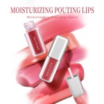 Lip Gloss Manufacturer - Bulk Vegan Plumping Lip Gloss Custom Formula