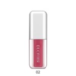 Lip Gloss Manufacturer - Bulk Vegan Plumping Lip Gloss Custom Formula