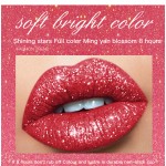 Lip Liner Set Supplier - Wholesale 2 in 1 Lip Stick Lipliner Matte Private