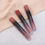 Lip Gloss Supplier - Kawaii Mini Lipgloss Custom Lipstick Crayon Private Label