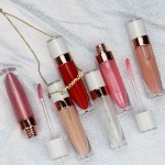 Lip Gloss Manufacturer - Custom Logo Juicy Shimmer Lip Gloss Business