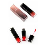 Lip Gloss Kit Supplier - Wholesale Glitter Liquid Glossy Transfer Proof