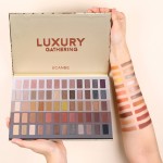 Eyeshadow Supplier - 60 Colors Highly Pigmented Matte Shimmer Neutral