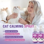 Calming Spray for Cats Manufacturer - 60ml Pheromone Pet Anxiety Relief Spray