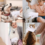 Pet Bath Gloves Manufacturer - Wash Free Gloves Disposable Grooming Massage Gloves