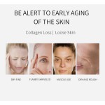 Collagen Sheet Mask Manufacturer - New Popular Water Soluble Travel Size Mask