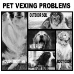 Pet Shampoo Supplier - Private Label Organic Plant Essential Oil Anti Itch