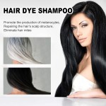 Hair Dye Shampoo Factory - New Arrival Non Toxic Black Brown Natural Fast