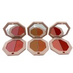 Blush Palette Manufacturer - Private Label Two Color Cheek Pressed Powder OEM