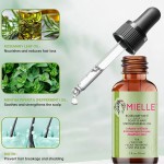 Hair Essential Oil Manufacturer - Professional Rosemary Mint Growth Nourishing