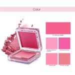 Blush Palette Factory - Wholesale Double Color Waterproof Private Label