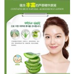 Face Cream Manufacturer - Korean Tender Smooth Moisturizing Repair Aloe Vera