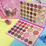 Blush Eyeshadow Palette Supplier - Cartoon Princess 65 Colors Pearl Matte Highlight