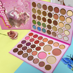 Blush Eyeshadow Palette Supplier - Cartoon Princess 65 Colors Pearl Matte Highlight