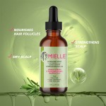 Hair Essential Oil Manufacturer - Professional Rosemary Mint Growth Nourishing