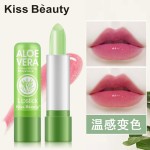 Aloe Vera Lip Balm Factory - Nourishing Moisturizing Aloe Vera Lip Care