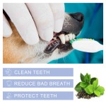 Pet Dental Care Supplier - Wholesale Pets Toothpaste for Dogs and Cats