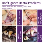 Pet Toothpaste Factory - New Arrival High Quality Fresh Breath Stain Removal