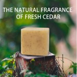 Nose Strips Supplier - High Quality Lanbena Blackhead Removal Deep Cleansing