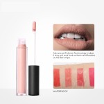 Lipstick Supplier - Wholesale Custom 10g Liquid Lipstick Lipgloss 200 Pcs