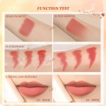 Lipstick Supplier - Duoduo DFA203 Private Label Lightweight Cream Lipstick