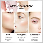 Blush Palette Manufacturer - Duoduo DFA26 Shimmer Matte Cheek Contour Powder