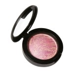 Makeup Brush Factory - New Design Private Label Blush Powder Mini Brush