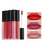 Lipstick Supplier - Wholesale Custom 10g Liquid Lipstick Lipgloss 200 Pcs